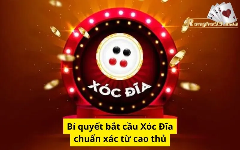 Bí quyết bắt cầu Xóc Đĩa chuẩn xác từ cao thủ