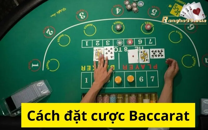 Cách đặt cược Baccarat