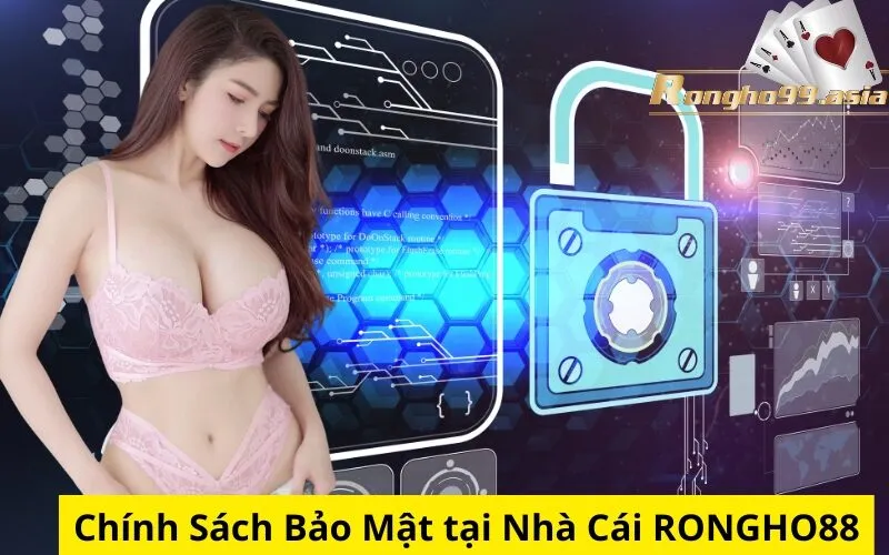 Chính Sách Bảo Mật tại Nhà Cái rongho99