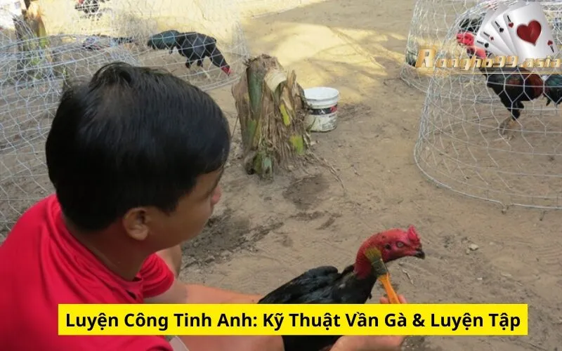 Luyện Công Tinh Anh: Kỹ Thuật Vần Gà & Luyện Tập