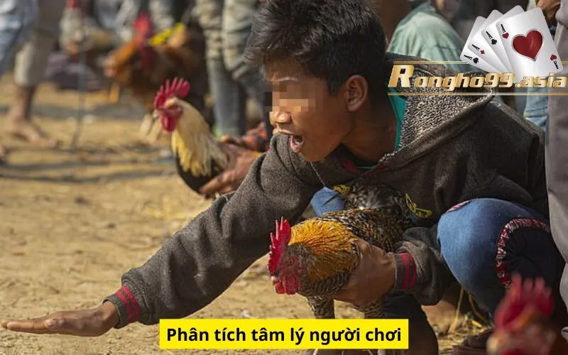 Phân tích tâm lý người chơi