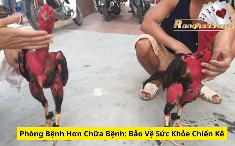 Phòng Bệnh Hơn Chữa Bệnh: Bảo Vệ Sức Khỏe Chiến Kê