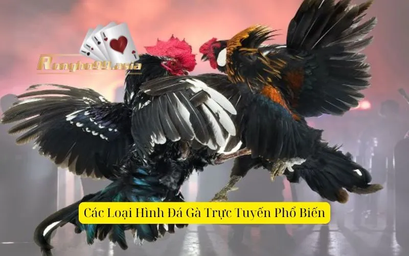 Các Loại Hình Đá Gà Trực Tuyến Phổ Biến