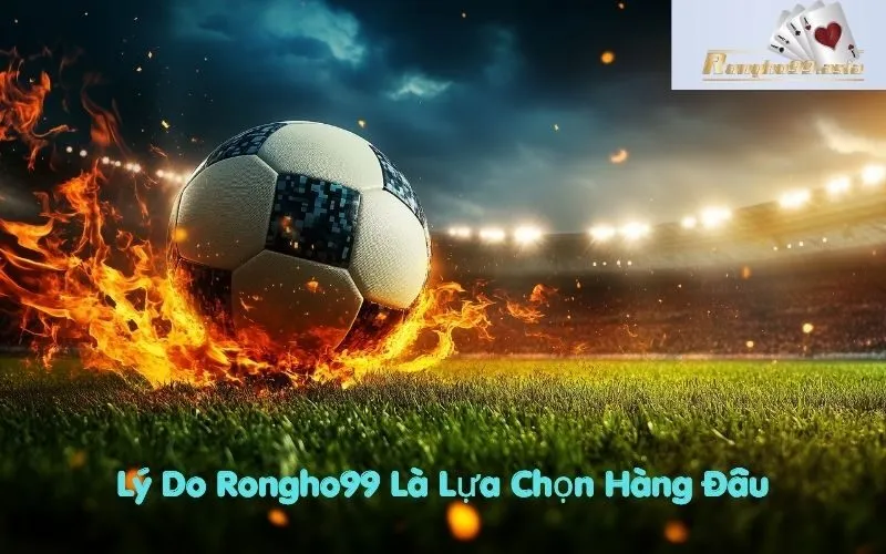 Lý Do Rongho99 Là Lựa Chọn Hàng Đầu