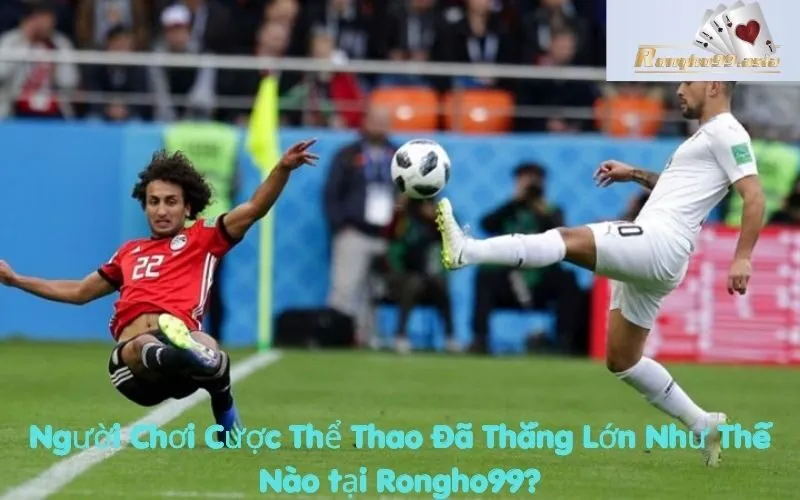 Người Chơi Cược Thể Thao Đã Thắng Lớn Như Thế Nào tại Rongho99