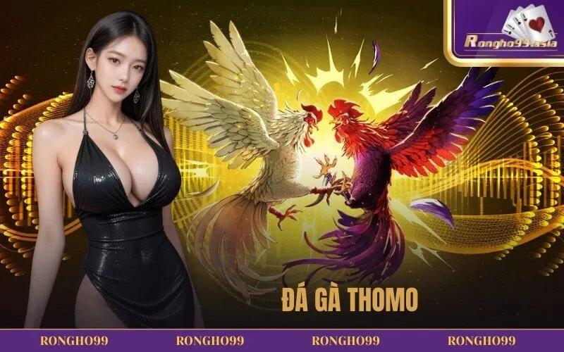 Đá gà Thomo