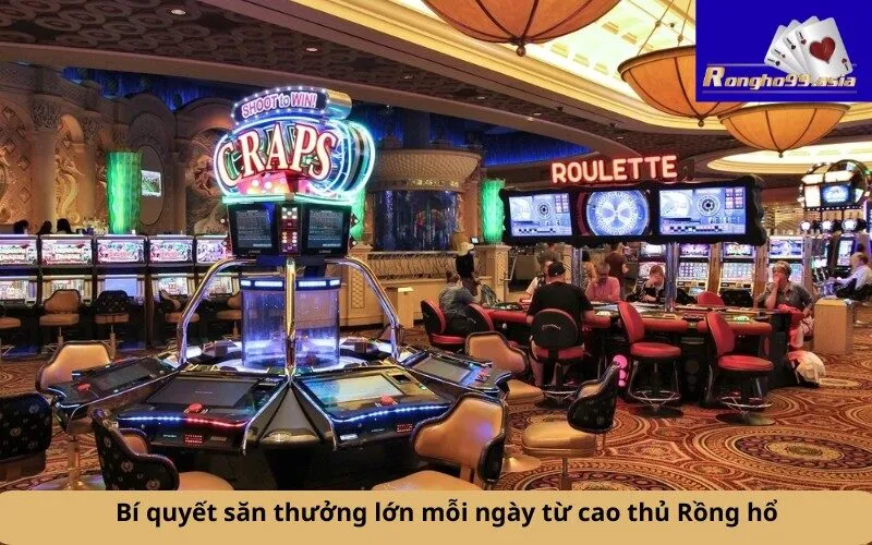 Bí quyết săn thưởng lớn mỗi ngày từ cao thủ Rồng hổ